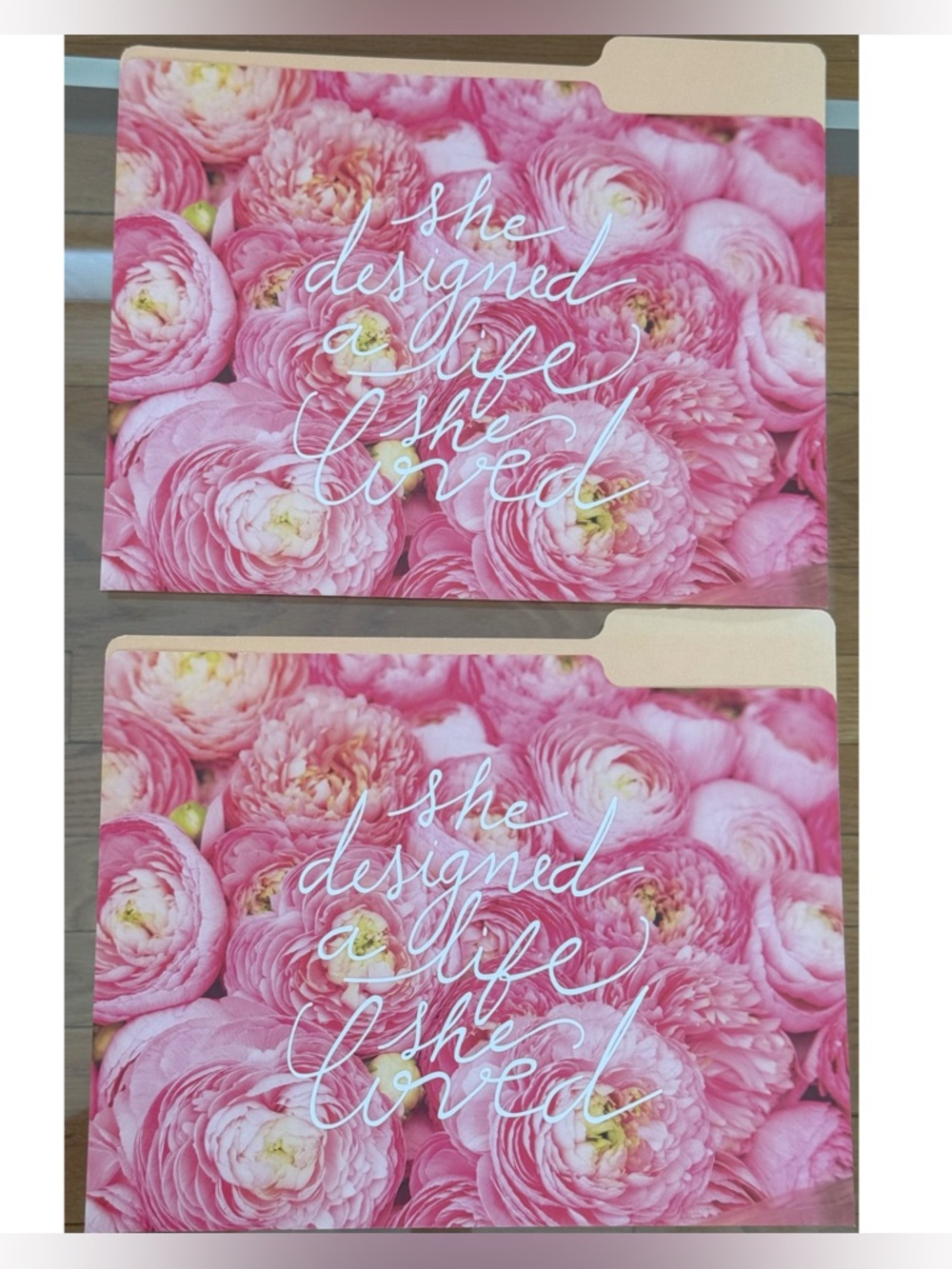 GIFT 🎁 READY A Set of Two File Folders